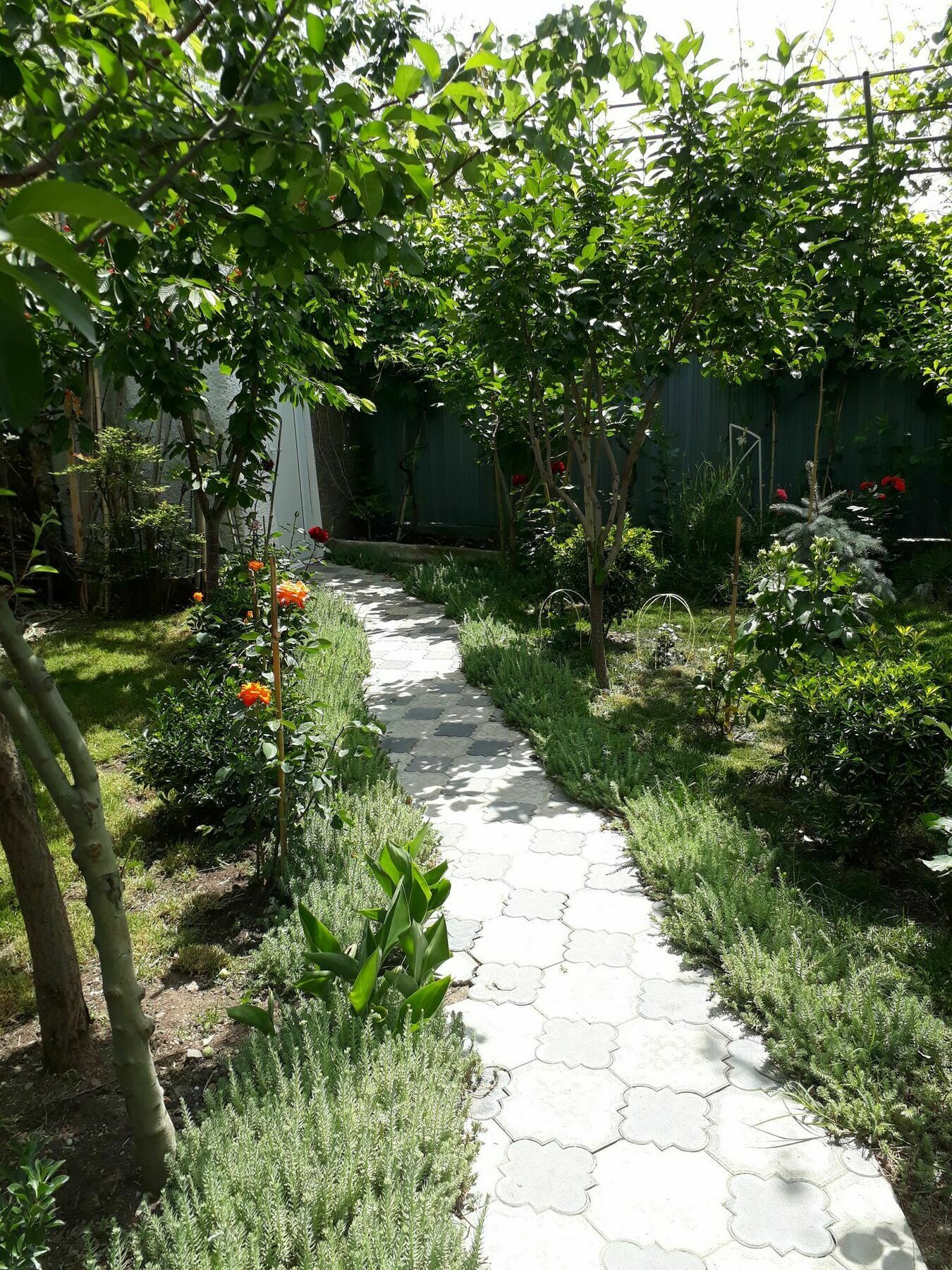 Hotel My Garden Tiflis Exterior foto