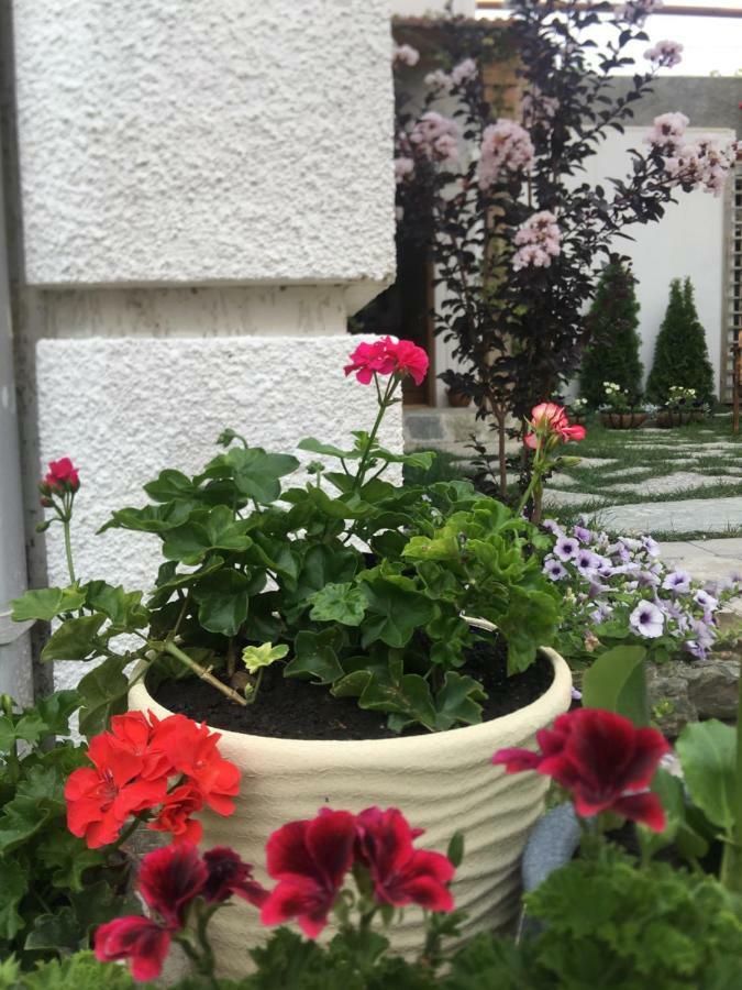 Hotel My Garden Tiflis Exterior foto