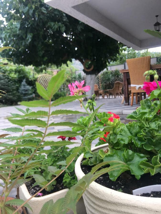 Hotel My Garden Tiflis Exterior foto